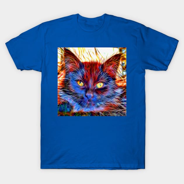 Cat Close Up T-Shirt by danieljanda